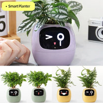 PlantBuddy AI - Interactive Smart Planter