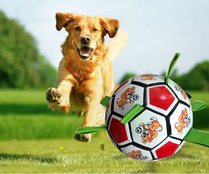 Interactive Dog Soccer Ball - PlayPaws